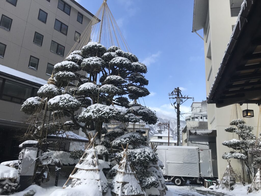 延楽のエントランス風景
