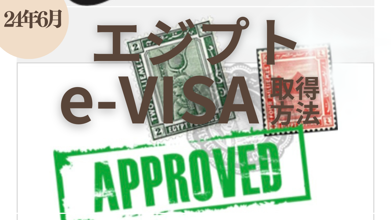 e-visa