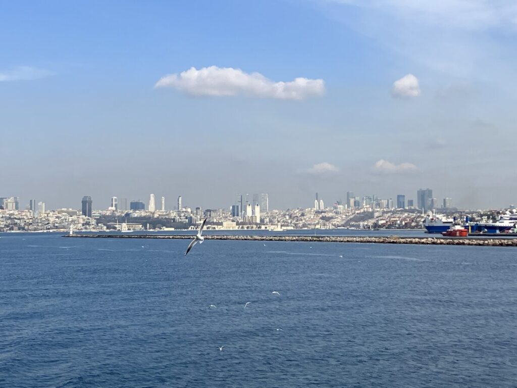 クルーズ
